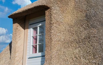 Sawood thatch roof disadvantages