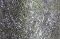 Sawood fibreglass roof work